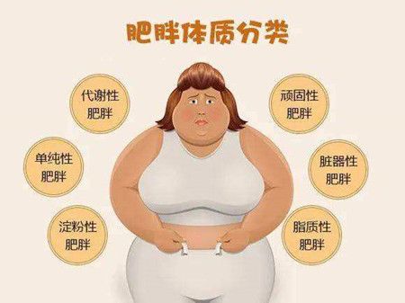 阳虚肥胖的人怎么减肥 阳虚怎么补最快最好