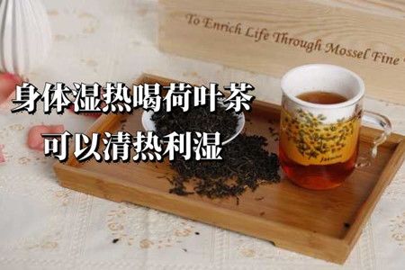 身体湿热重有什么好方法调理 吃什么食物见效快