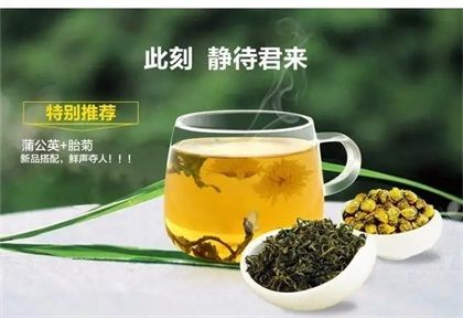 蒲公英茶和蒲公英根茶有什么区别吗