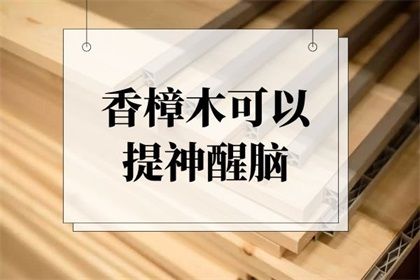 香樟木的功效与作用 香樟木的禁忌有哪些