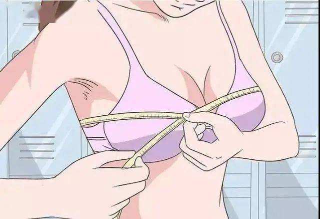 女人的胸标准长什么样子图片 中国女性完美乳房计算标准