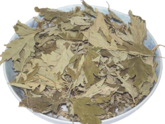 艾叶-痛风能用艾叶水泡脚吗 艾叶泡脚有什么效果