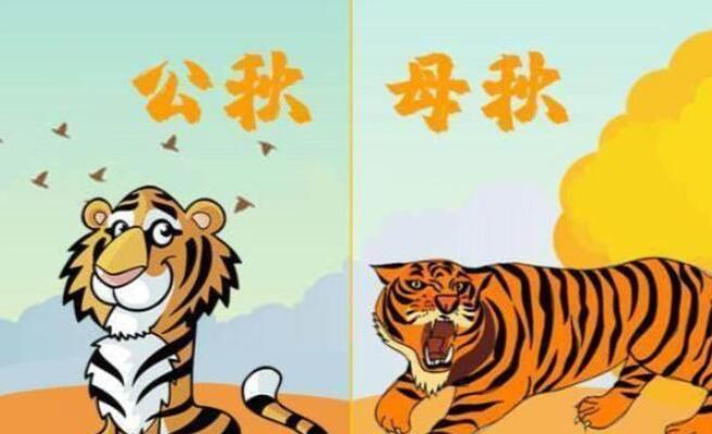 秋老虎是秋夏之交吗 秋老虎有公母吗